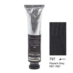 Bp Yaglı Boya 200Ml Paynes Grey 797