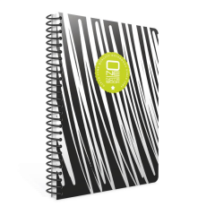 Gıpta One Notebook A4 80yp Spiralli PP Kapaklı Kareli Defter