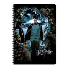 Harry Potter A4 60 Yp Çiz Spr. Karton Kapak Defter
