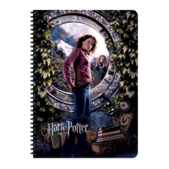 Harry Potter A4 60 Yp Çiz Spr. Karton Kapak Defter